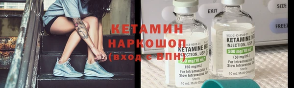 гашик Алексин
