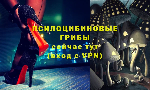 гашик Алексин