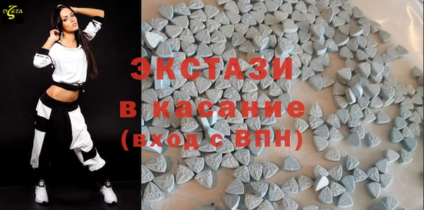 гашик Алексин