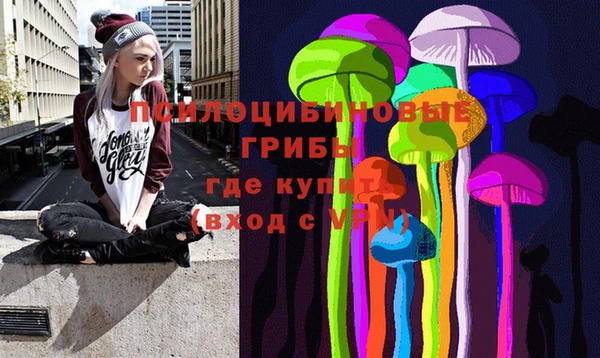 круглые Алзамай