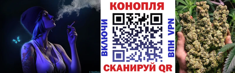 Бошки марихуана сатива  где найти   Харовск 